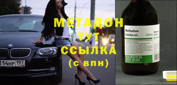стаф Алзамай