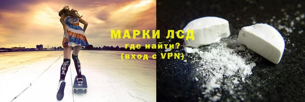 стаф Алзамай