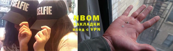 стаф Алзамай