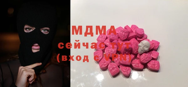 стаф Алзамай
