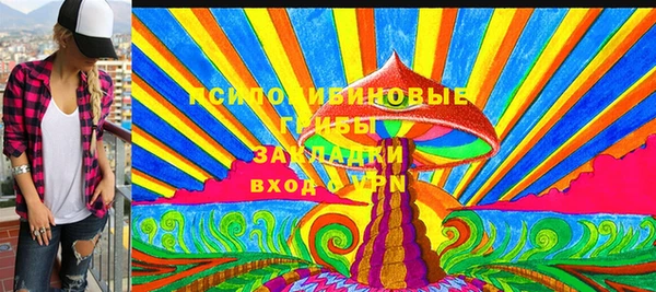 стаф Алзамай