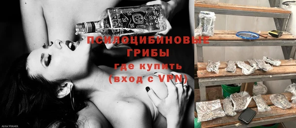 соль ск Алексин