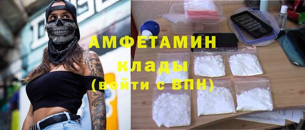 стаф Алзамай