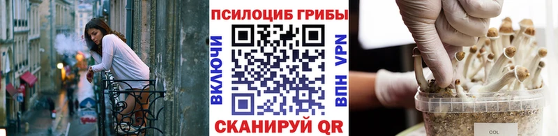 Псилоцибиновые грибы Magic Shrooms наркотики Сунжа