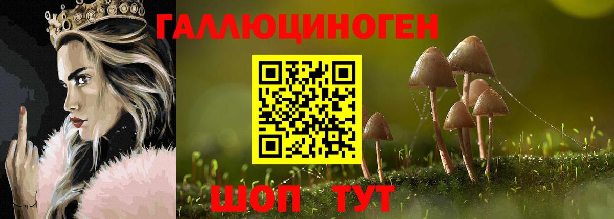 закладки  Вход с VPN  Галлюциногенные грибы мухоморы  Сунжа  Галлюциногенные грибы мицелий 